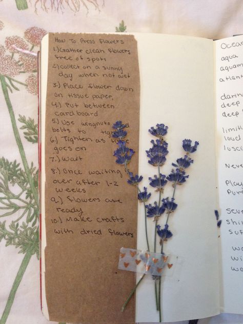 Flower Press Scrapbook, Pressed Flower Journal Page, Pressed Flowers In Journal, Poetry Journal Ideas Notebooks, Flower Pressing Aesthetic, Pressed Flower Journal Ideas, Flowers In Journal, Pressed Flower Scrapbook, 2024 Journal Cover Page