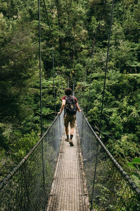 Nature, Iquitos, Men Travel Photography, Hiking Photography Ideas, Hiking Rainforest, Hiking Poses Photo Ideas, Man In Forest, Forest Explorer, Ben Zank