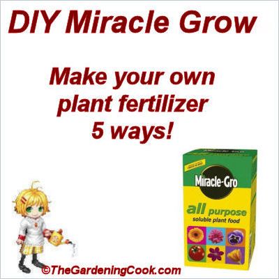 DIY Miracle Grow Recipe: Here are a few ways to fertilize without the use of chemicals. DIY Miracle Grow: Ingredients:  1 gallon of water 1 tbsp epsom salt or apple cider vinegar 1 tsp baking powder 1/2 tsp ammonia Mix all ingredients together and use once a month. www.gardengurulawntools.com Diy Miracle Grow, Homemade Plant Food, Diy Fertilizer, Miracle Grow, Garden Fertilizer, Plant Projects, Fertilizer For Plants, Gallon Of Water, Soil Improvement