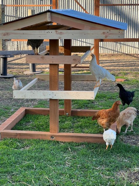 Chicken Coop Edging, Stuff For Chickens, Brooder Roosting Bar, Indoor Chicken Cage, Frozen Chicken Treats Diy, Chicken Hideouts, Easy Chicken Run Diy, Turkey Roost Ideas, Shade For Chickens