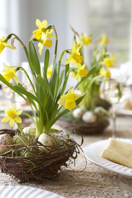 Gently remove the clumps of bulbs from the pot and dirt.  Remove most of the dirt  leaving just enough to support bulbs in nest.   Place bulbs into bird's nests purchased from the craft store.  Surround with moss to support the bulb. Use a few colored eggs to adorn your arrangement.  Use as one single centerpiece or several for your dining room table.   PS. After the bloom is spent, you can place bulbs in your flower garden for next year's Spring garden. Diy Tabletop, Easter Flower Arrangements, Tafel Decor, Spring Arrangements, Speckled Eggs, Easter Tablescapes, Spring Tablescapes, Easter Flowers, Spring Party