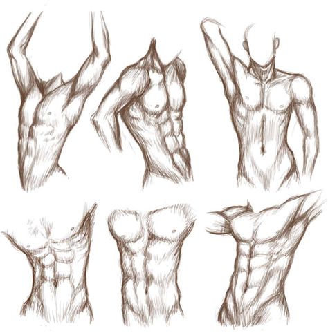 Little bit of male body study for, again, my Dawson portfolio... I really need to wrap this up as quickly as I can @~@ You might notice that one or two poses are inspired by 's poses and body studi... Drawing Poses Male, Male Body Drawing, Male Figure Drawing, Human Body Drawing, Hur Man Målar, Drawing Body Poses, Male Torso, Human Figure Drawing, Human Anatomy Art