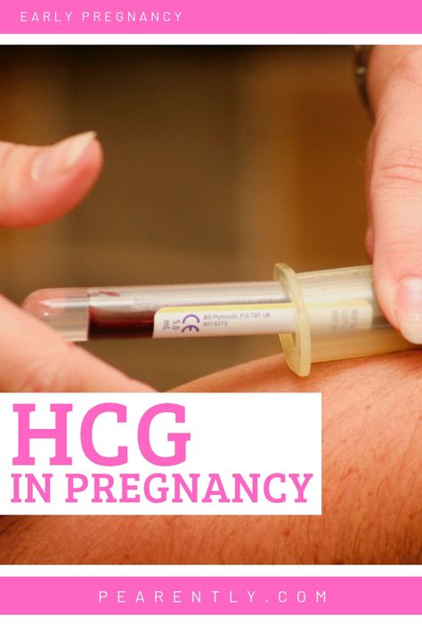 Hcg Levels Chart Early Pregnancy, Pregnancy Blood Test, Pregnancy Morning Sickness, First Trimester Tips, Negative Pregnancy Test, Hcg Levels, Home Pregnancy Test, Positive Pregnancy Test, Fallopian Tubes