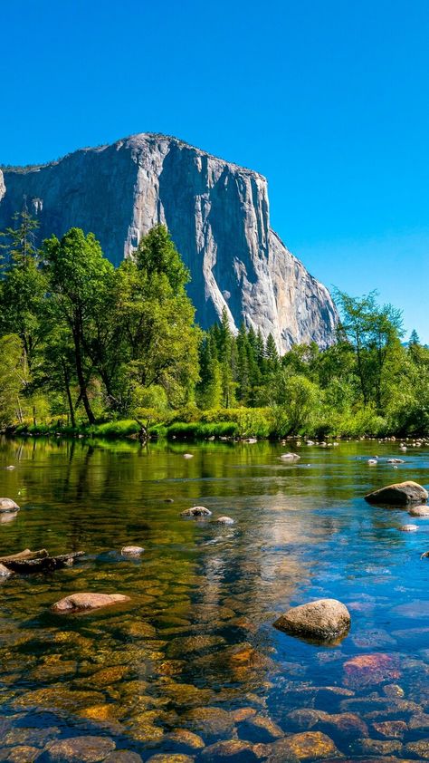 Natural Beauty Nature, Yosemite Map, Images Of Nature, Tuolumne Meadows, Glamping Resorts, Yosemite Park, California Mountains, National Park California, Yosemite Falls