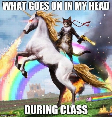 20 Ridiculous Unicorn Memes That Will Make You Laugh Book Nerd, Unicorn Memes, Space Unicorn, Tarot Gratis, Ninja Cats, Images Wallpaper, Nurse Humor, Elder Scrolls, Cat Lady