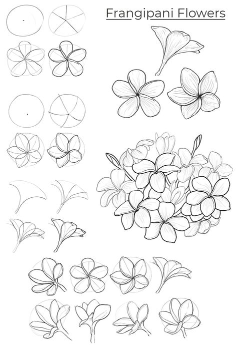 How To Draw A Frangipani, How To Paint Frangipani Flower, Flowers And Plants Drawing, Tutorial Flower Drawing, Flower Art Drawing Sketches Ideas, How To Draw A Plumeria, How To Draw Plumeria Flowers, Frangipani Flower Painting, How To Draw Petals
