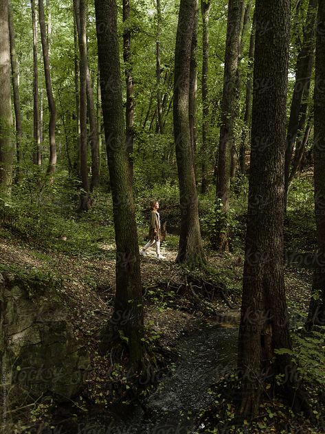 Nature, Mysterious Woods Aesthetic, Out Of The Woods Aesthetic, Person In Forest, Woods Backgrounds, Women In Forest, Lost In Woods, Lost In Forest, Walking In A Forest