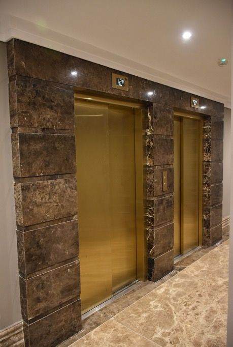 Lift Lobby Design Residential, Lift Wall Cladding Design, Lift Cladding, Lobby Design Residential, Residential Building Entrance, Pool Lift, Lift Wall, Lift Lobby Design, Ashley Poston