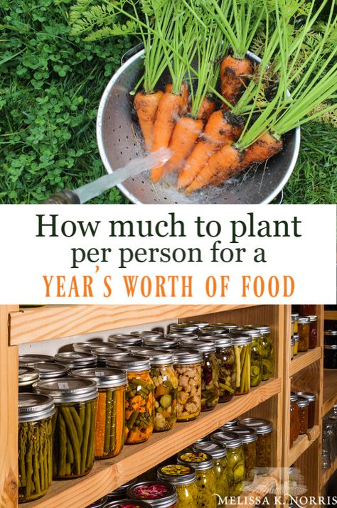 how much to plant per person for a year's worth of food Gardening Against Fence, Hanging Plants On Trees, Homestead Vegetable Garden, How Much Food To Grow Per Person, Small Garden Space Ideas, How To Make Your Own Seasonings, Half Acre Garden Layout, What Veggies To Plant Together, Pepper Plant Support