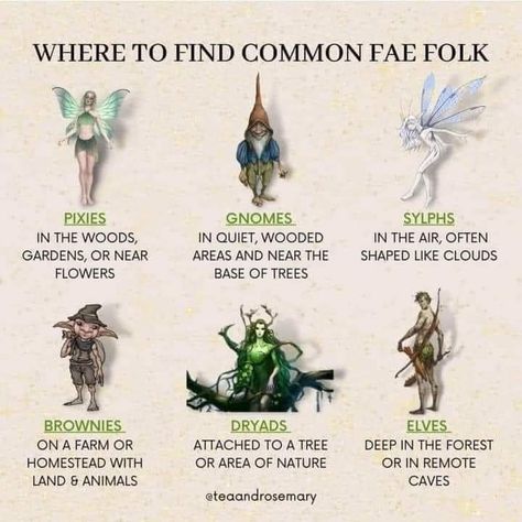 Good Mythical Creatures, Kinds Of Fairies, Fantasy Creatures Humanoid Types, Different Kinds Of Fairies, Mythical Creatures Fairy, Different Mythical Creatures, Fairy Types Mythology, Fantasy Earth Creatures, Fairy Mythical Creatures