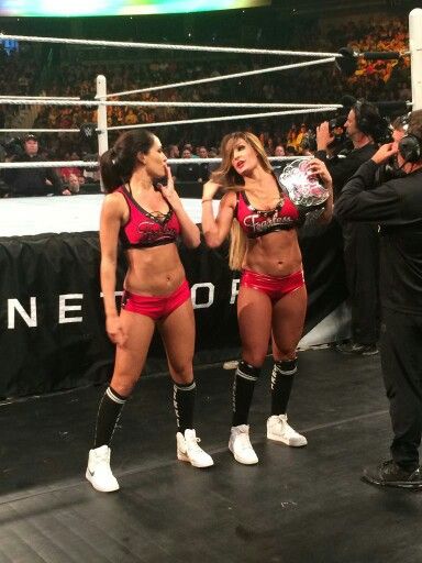 Nikki & Brie Bella Nikki Bella Costume, Nikki Bella Wwe, Nikki Garcia, Brie Bella Wwe, Twin Costumes, Wwe Outfits, Nikki And Brie Bella, Brie Bella, 2000s Aesthetic