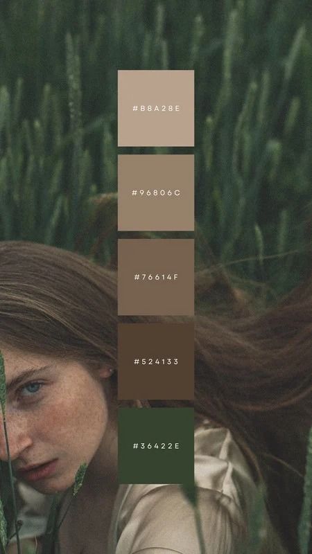 Templates Green Pallete, Color Branding, Beige Color Palette, Photo Collage Maker, Brown Color Palette, Seasonal Color Analysis, Make An Infographic, Collage Background, Green Colour Palette