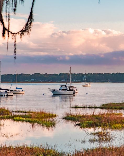 27 Unforgettable Things to Do in Beaufort, South Carolina in 2024 Ruins, Huntington Island South Carolina, Low Country South Carolina, Beaufort South Carolina Aesthetic, James Island South Carolina, Things To Do In South Carolina, Lowcountry Aesthetic, Southern Summer Aesthetic, South Carolina Beach House