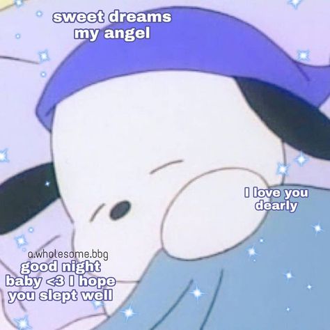 Good night cuties <3 I'm off to bed, thank you for 2k I'm so happy that my wholesome page is growing really fast and that you feel like my… Good Night Crush, Love You Good Night, Good Night Wholesome, Good Night Meme Cute, I Really Like You, Meme Good Night, Platform Bedding, Good Night Memes, Good Night Cute