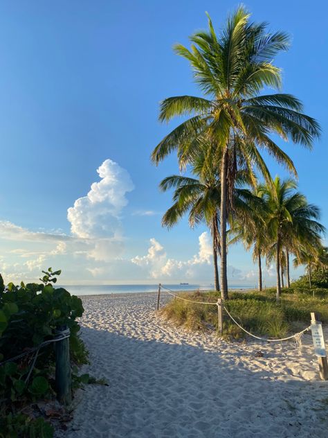 Nature, Florida Wallpaper, Summer Florida, Florida Palm Trees, Beach Palm Trees, Best Wallpaper Hd, Seaside Florida, Palm Trees Beach, Florida Girl