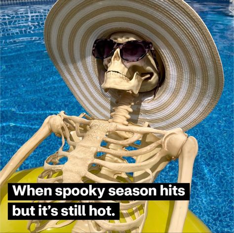 Spooky Summer, Its Spooky Season, Spooky Memes, Fall Memes, Halloween Favor, Halloween Memes, Summer Humor, Summer Movie, Spooky Month