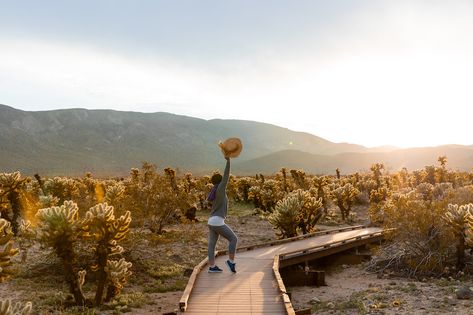 Let's Take a Trip to Joshua Tree and 29 Palms Angeles, Los Angeles, 29 Palms, Twentynine Palms, Beautiful California, Desert Travel, Yucca Valley, National Park Photos, Joshua Tree National Park