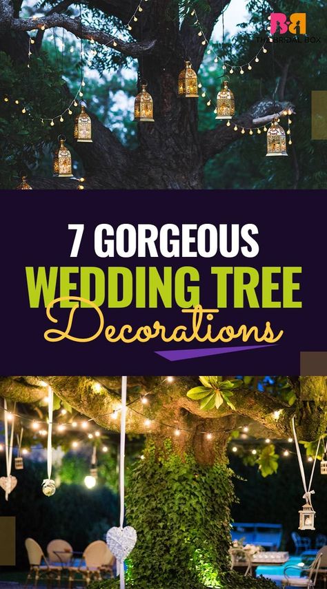 Wedding tree decorations signify one thing: Weddings are not just about ceremonies, they are also a way to celebrate the bride and groom who are about to tie the nuptial knot. Almost every girl dreams to have a fairy tale wedding, ever since her childhood. How To Decorate A Tree For A Wedding, Wedding Tree Lights Outdoor, Married Under A Tree, Tree Decorations For Wedding, Decorating Trees For Wedding, Backyard Wedding Tree Decor, Outdoor Wedding Tree Lights, Tree Decorations Outdoor Wedding, Wedding Tree Lights