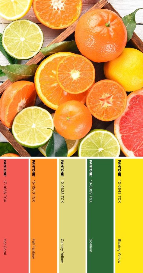 Italian Color Palette, Citrus Kitchen Decor, Color Palette Pantone, Pantone Color Palette, Style Tips And Tricks, Yellow Pantone, Citrus Wedding, Pantone Colour Palettes, Color Palette Yellow