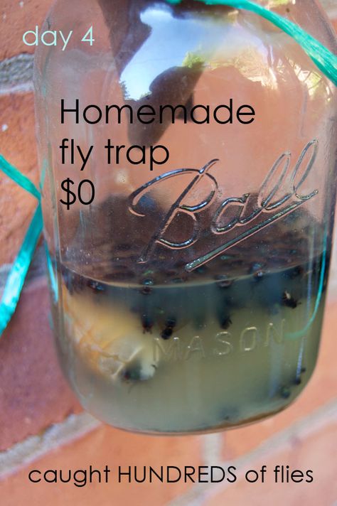 DIY fly trap that costs nothing. Use window screen to make the cone instead of paper if you're worried it will get soggy in the rain. How To Make Fly Traps Homemade, How To Make A Fly Trap Diy, How To Repel Flies Outdoors, Fly Catcher Diy Outdoor, Fly Trap Homemade Outdoor, Repel Flies Outdoors, Fly And Mosquito Repellant, Fly Traps Homemade Diy Outdoor, Indoor Fly Trap Diy