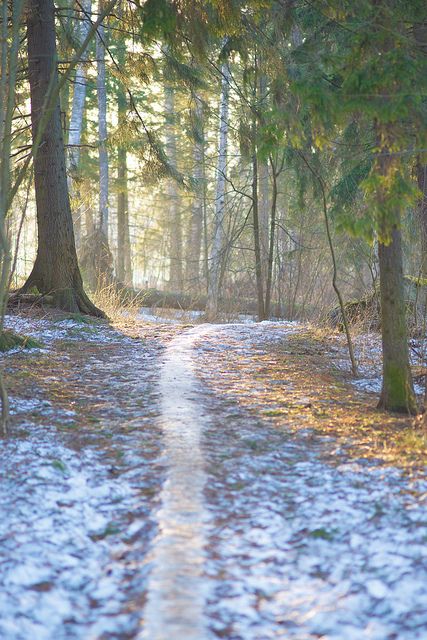 A path of melting snow Nature, Winter Melting Into Spring, Spring Snow Aesthetic, Melting Snow Aesthetic, Late Winter Early Spring Aesthetic, Late Winter Aesthetic, Winter Spring Aesthetic, Mercy Aesthetic, Early Spring Aesthetic