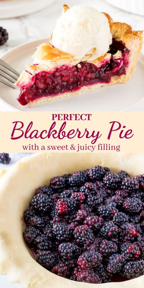 Easy Blackberry Pie, Blackberry Pie Recipe, Gluten Free Pies Recipes, Blackberry Filling, Blackberry Pie Recipes, Berry Pie Recipe, Fruit Pie Recipe, Blackberry Dessert, Pie Crust Designs