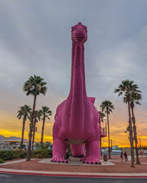 Dinosaurs, Cabazon Dinosaurs, Joshua Tree, Route 66, Have You Seen, Palm Springs, Park Slide, Design Inspo, Springs