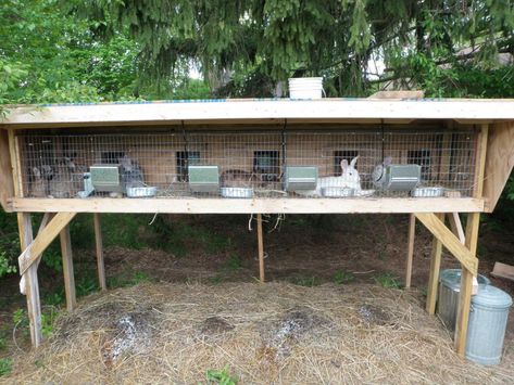 Rabbit Cages Outdoor, Gardening Diy Projects, Rabbit Shed, Rabbit Hutch Plans, Diy Rabbit Cage, Large Rabbit Hutch, Rabbit Pen, Diy Rabbit Hutch, Outdoor Rabbit