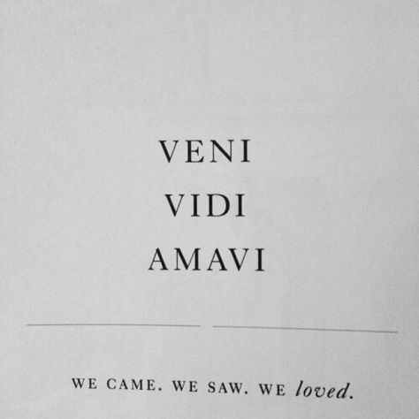 Veni Vidi Amavi Latin for "I came, I saw, I loved" Fina Ord, French Quotes, Three Words, Amazing Quotes, Instagram Captions, Pretty Words, Art Director, Beautiful Words, Words Quotes