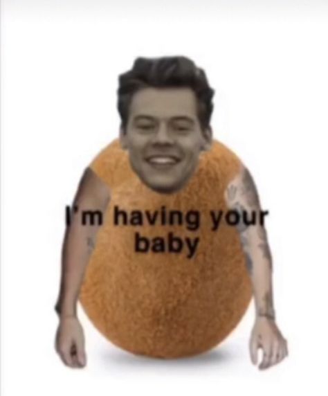 Funny Harry Styles, Harry Styles Memes, Response Memes, 1d Funny, Harry Styles Funny, When To Plant, Harry 1d, One Direction Photos, One Direction Humor