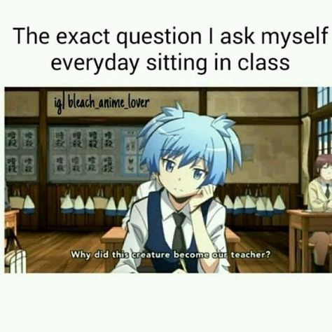 Classroom Memes, Nagisa And Karma, Memes Random, Anime Qoutes, Anime Quotes Inspirational, Me Anime, Funny Anime, Random Memes, 웃긴 사진