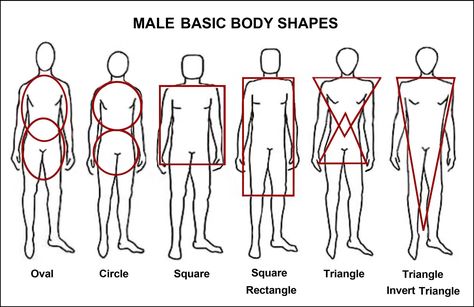 Male body shapes Tumblr, Body Types Description, Types Of Male Body Shapes, Male Body Shapes Drawing, Men Body Types Drawing, Body Shapes Men, Body Type Chart, Male Body Types Drawing, Body Shapes Drawing