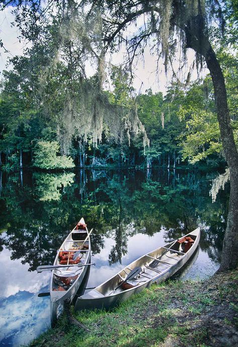 Kayak down the Ichetucknee River. Us Destinations, Canoes, Gainesville Florida, Places In Florida, Florida Living, Visit Florida, Date Ideas, August 20, Canoeing
