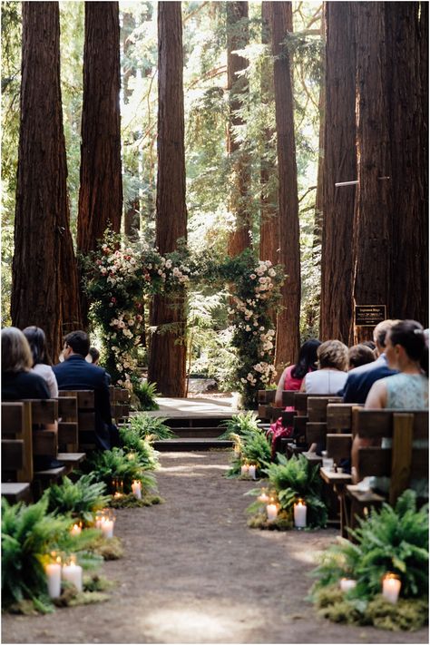 Wedding Venue Twilight, Woodsy Glam Wedding, Red Wood Wedding Venues, Colorado Forest Wedding Venues, Forest Wedding California, Scenic Wedding Ceremony, Cottagecore Wedding Ceremony, Forest Wedding Venues California, Redwood Grove Wedding