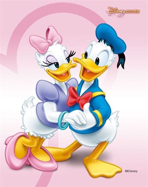 Donald Duck & Daisy Daisy Duck Images, Donald And Daisy Duck Wallpaper, Daisy Duck And Donald Duck, Daisy And Donald Duck, Daisy Donald Duck, Donald Duck Cartoon, Donald Duck And Daisy, Wallpaper Do Mickey Mouse, Mickey Mouse E Amigos