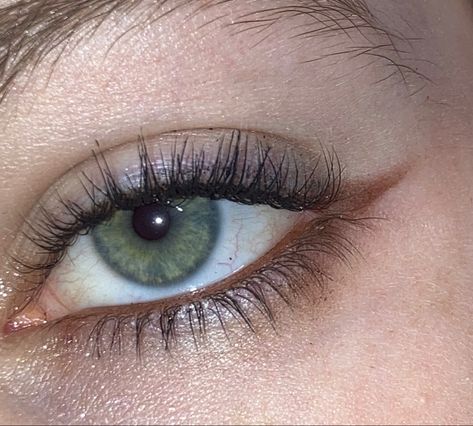 Winged Brown Eyeliner, Brown Mascara And Eyeliner Look, Brown Eyeshadow Under Eye, Brown Puppy Dog Eyeliner, Winged Liner Aesthetic, Eyeliner Brown Pencil, Effortless Eye Makeup, Brown Winged Eyeliner Natural Looks, Smoky Brown Liner