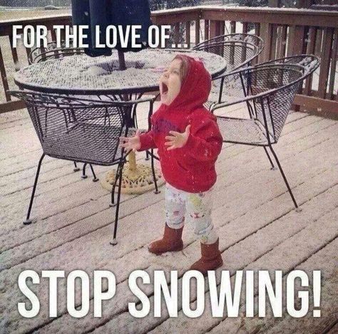 No more snow please Funny Stuff, Humour, Winter Humor, Snow Humor, Meanwhile In Canada, Weather Memes, Hate Winter, Winter Quotes, Bones Funny
