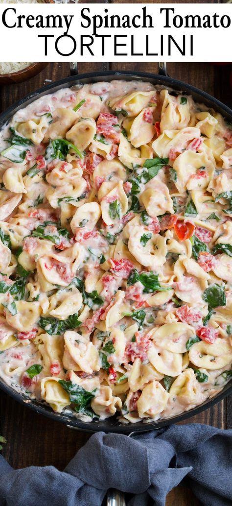 Creamy Spinach Tomato Tortellini, Spinach Tomato Tortellini, Spinach And Tomato Tortellini, Pasta Tortellini, Cheese Tortellini Recipes, Yarn Mandala, Tomato Tortellini, Spinach Tortellini, Comforting Dinner