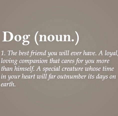 The true definition of dog Love Quotes For Boyfriend Long Distance, Love Quotes For Him Boyfriend, Dog Phrases, Best Dog Quotes, Dogs Quotes, Dog Quotes Love, Fu Dog, Dog Rules, Memes Humor