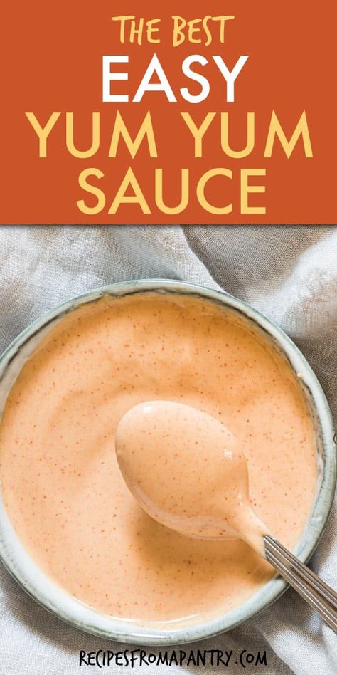 Easy Yum Yum Sauce, Hummus Variations, Yum Sauce Recipe, Yum Yum Sauce Recipe, Hibachi Sauce, Hibachi Recipes, Japanese Hibachi, Easy Sauce Recipe, Family Meal Prep