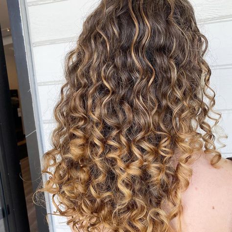 Blondes & Natural Curls on Instagram: “Happy Sunday everyone!! The sun is shining(for the moment at least), & we are so ready to make some hair magic.💕 ✨” Balayage, Highlighted Curly Brown Hair, Caramel Curly Hair Honey Natural Curls, Blonde Highlights Wavy Hair, Wavy Hair Highlights, Curly Hair Blonde Highlights, Sun Bleached Hair, Curly Balayage Hair, Balayage Curls