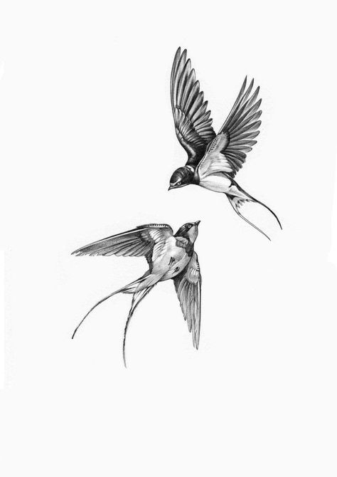 Swallow Tattoo Drawing, Swallow Tattoo Leg, Bird Elbow Tattoo, Realistic Swallow Tattoo Design, Kuş Tattoo, 2 Swallows Tattoo, Swallows Tattoo Design, Swallow Tattoo Arm, Swallow Tattoo Women