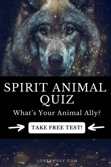 Spirit Animal Quiz: What’s Your Animal Ally? Spirit Animal Test, What's My Spirit Animal, Find My Spirit Animal, Horse Spirit Animal, Spirit Animal Quiz, Whats Your Spirit Animal, Find Your Spirit Animal, Owl Spirit Animal, Spirit Animal Meaning