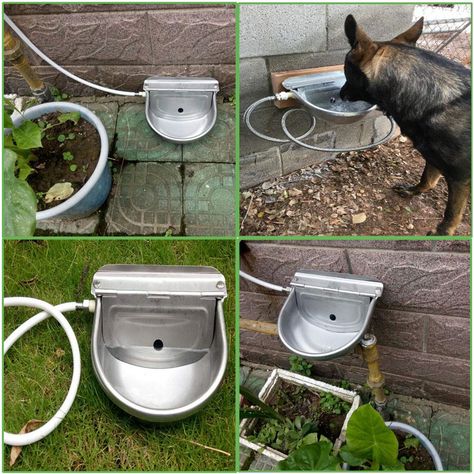 Diy Pet Water Filter, Dogs Water Bowl Ideas, Automatic Dog Water Bowl, Automatic Water Bowl Dogs, Outside Dog Bowl Ideas, Built In Pet Water Fountain, Dog Watering Station Outdoor, Dog Outdoor Water Station, Outside Water Bowls For Dogs