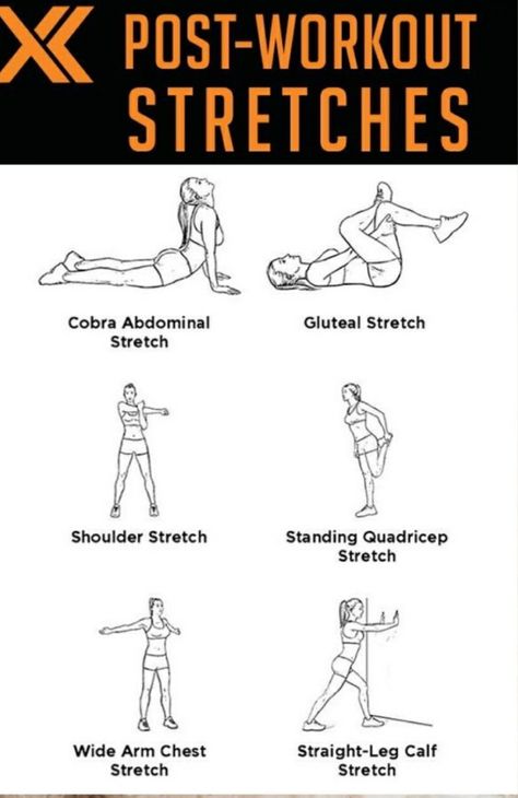 Fitness, exercise, stretch, routine Workout Stretches Cool Down, Post Stretches Workout, Full Body Post Workout Stretch, Pre And Post Workout Stretches, After Workout Stretches, Pre Workout Stretches, Workout Stretches, Stretches Before Workout, Post Workout Stretches