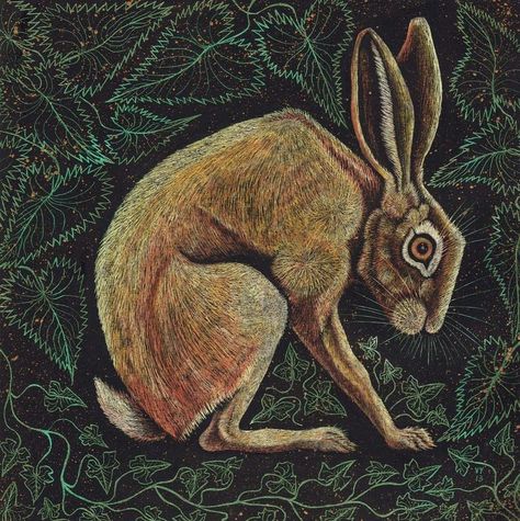 Hare Sketch, Hare Drawing, Hare Pictures, Hare Illustration, Hare Art, Hare Painting, Jack Rabbit, Vintage Rabbit, Rabbit Art