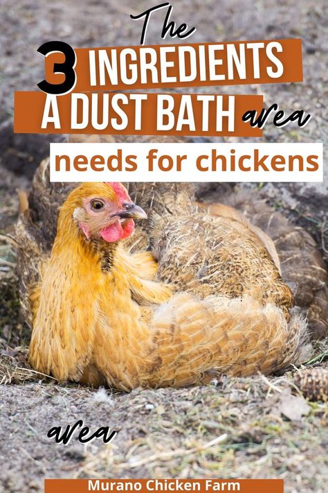 create the ultimate dust bath for chickens Dirt Bath Chickens, How To Make Dust Bath For Chickens, Winter Dust Bath For Chickens, Cute Chicken Dust Bath Ideas, Tire Dust Bath For Chickens, Dust Bath Ideas For Chickens, Chicken Coop Dust Bath Ideas, Production Red Chickens, Diy Chicken Dust Bath Container