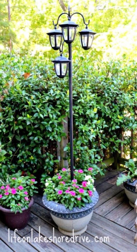 DIY Outdoor Planters - DIY Solar Lights Lamp Post Planter - Easy Planter Ideas to Make for The Porch, Pation and Backyard - Your Plants Will Love These DIY Plant Holders, Potting Ideas and Planter Boxes - Gardening DIY for Big and Small Plants Outdoors - Concrete, Wood, Cheap, Simple, Modern and Rustic Projects With Step by Step Instructions http://diyjoy.com/diy-oudoor-planters Cheap Solar Lights, Solaire Diy, Diy Planters Outdoor, Solar Lights Diy, Solar Light Crafts, Diy Outdoor Lighting, Diy Solar, Solar Garden, Diy Planters