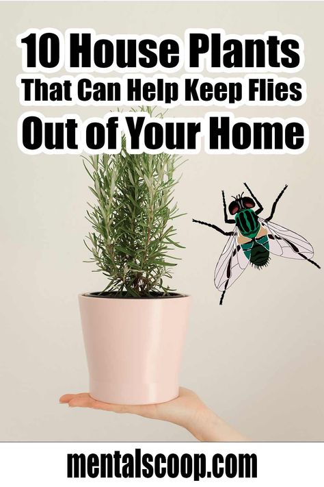 10 House Plants That Can Help Keep Flies Out of Your Home - Mental Scoop Natural Fly Trap, House Fly Traps, Fly Repellant Diy, Fly Deterrent, Homemade Fly Traps, Natural Fly Repellant, Plants That Repel Flies, Diy Fly Trap, Insect Repellent Plants