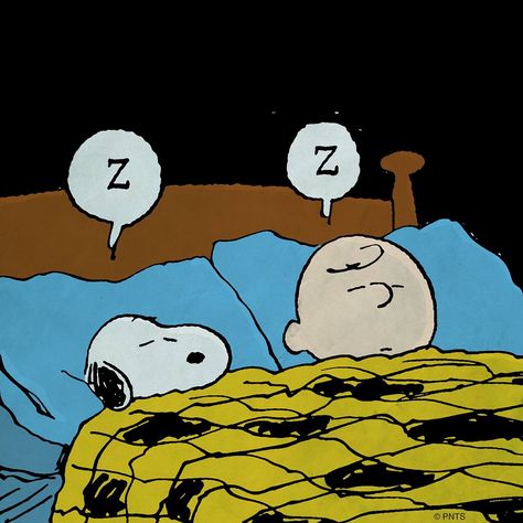 Sleeping Snoopy Und Woodstock, Snoopy Sleeping, Charlie Brown Y Snoopy, Dani California, Woodstock Snoopy, Snoopy Images, Peanuts Characters, Snoopy Pictures, Snoopy Love